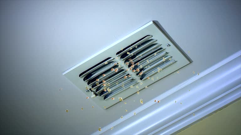 Best Professional Duct Cleaning Services  in Cortland, NY
