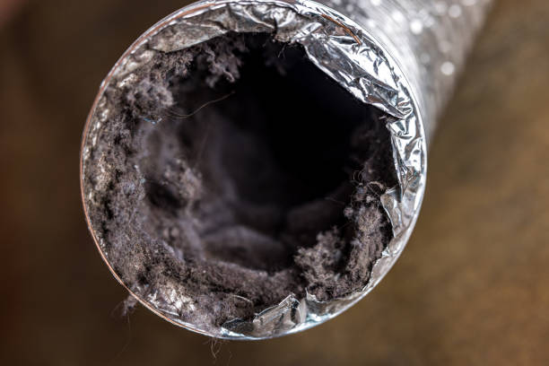 Best Affordable HVAC Duct Cleaning  in Cortland, NY